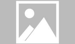 漫画迷,漫画迷的奇幻旅程